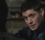 SPN_0175.jpg