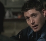 SPN_0203.jpg