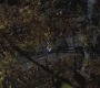 SPN_0444.jpg