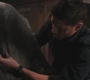 SPN_0905.jpg