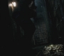 SPN_0980.jpg
