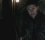 SPN_1017.jpg