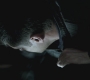 SPN_1038.jpg