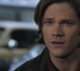 SPN_1081.jpg