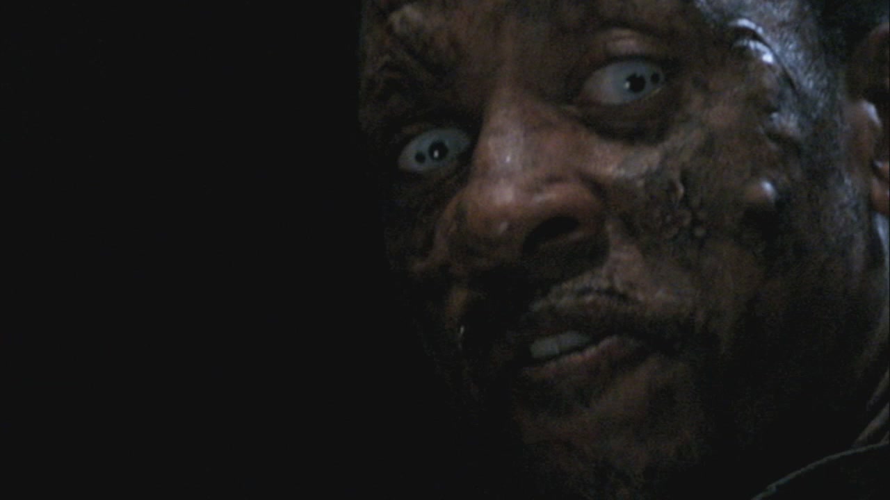 SPN_1113.jpg