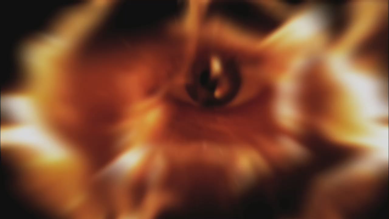 SPN_1225.jpg