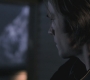 SPN_0726.jpg