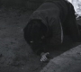 SPN_0931.jpg