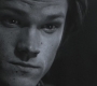 SPN_0972.jpg