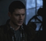 SPN_1052.jpg