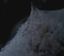 Filename=SPN_1120.jpg
Filesize=51KiB
Dimensions=1280x720
Date added=Sep 30, 2021 SPN_1120.jpg