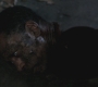 Filename=SPN_1166.jpg
Filesize=56KiB
Dimensions=1280x720
Date added=Sep 30, 2021 SPN_1166.jpg