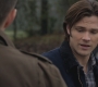 SPN_0100.jpg