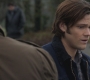SPN_0101.jpg