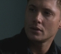 SPN_0905.jpg