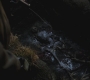 SPN_0913.jpg