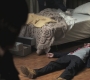 SPN_1016.jpg