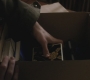 SPN_1017.jpg