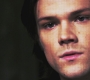 SPN_1046.jpg
