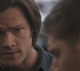 Filename=SPN_1230.jpg
Filesize=52KiB
Dimensions=1280x720
Date added=Sep 30, 2021 SPN_1230.jpg