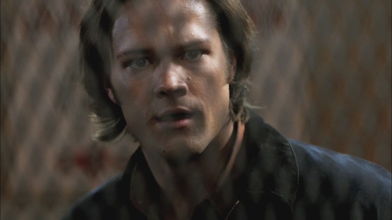 SPN_0975.jpg