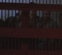 SPN_0280.jpg