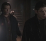 SPN_0743.jpg