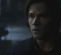 SPN_0821.jpg