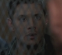 SPN_0966.jpg