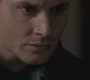 SPN_1135.jpg