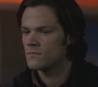 SPN_1146.jpg