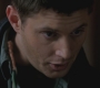 SPN_1150.jpg