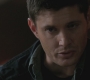 SPN_1154.jpg