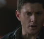 SPN_1184.jpg