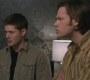 SPN_0511.jpg