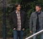 SPN_0881.jpg