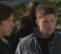 SPN_0903.jpg