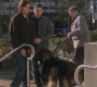 SPN_0911.jpg