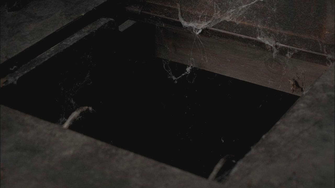 SPN_0045.jpg