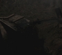 SPN_0571.jpg