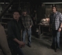 SPN_0123.jpg