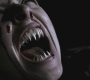 SPN_0175.jpg