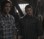 SPN_0231.jpg