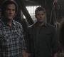SPN_0243.jpg