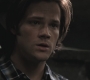 SPN_0257.jpg