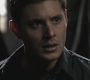 SPN_0286.jpg