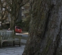 SPN_0290.jpg