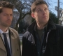 SPN_0409.jpg