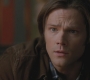 SPN_0554.jpg