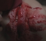 SPN_0610.jpg